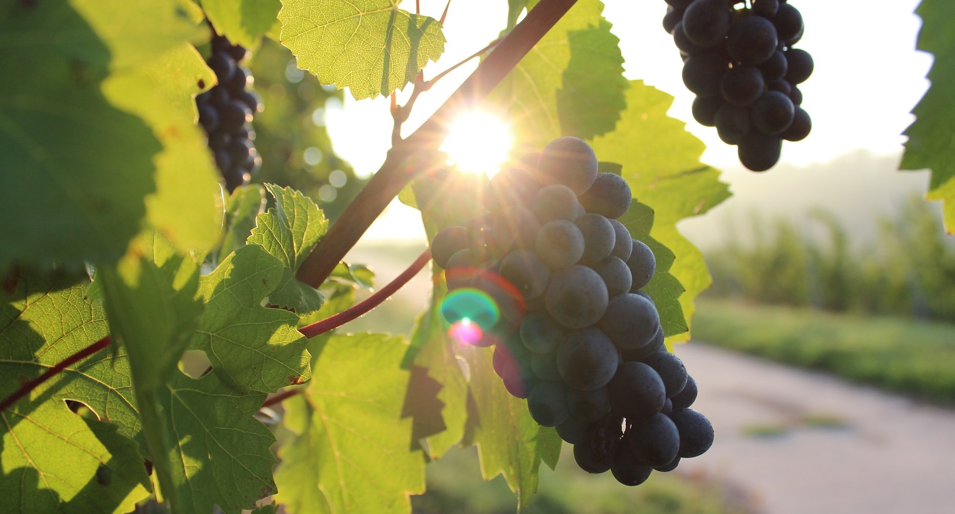 Newsletter n.&ordm; 79 - Foto 4